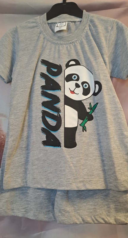 panda maat 6