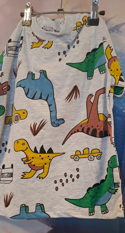 dino set 5 jaar