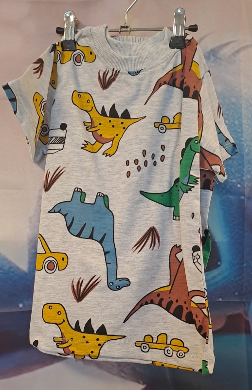 dino set 4 jaar